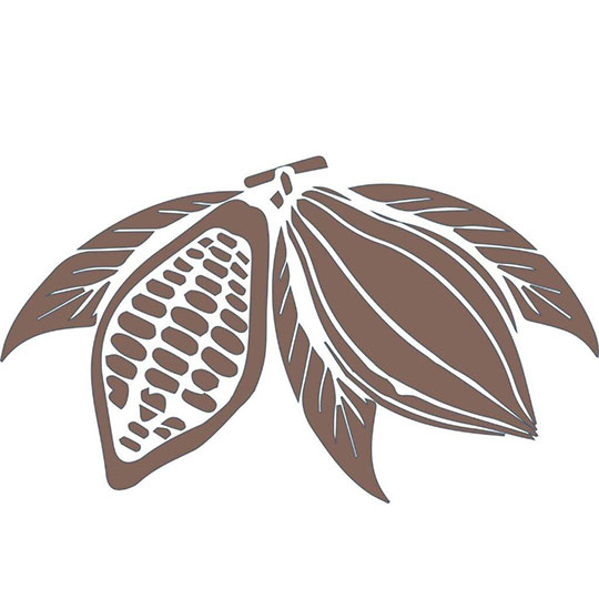 chocolate-life-through-chocolate Chocolate